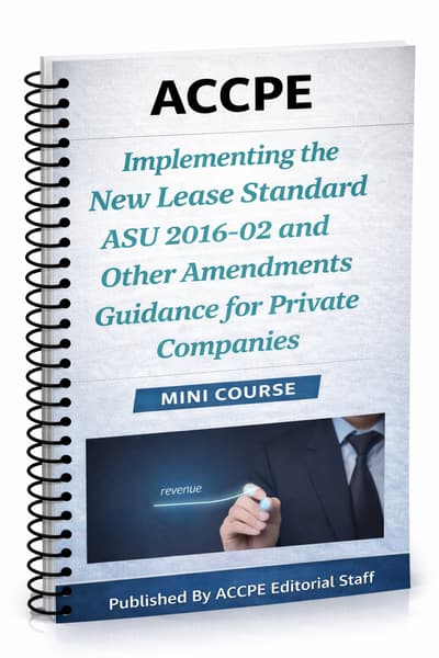 What does Implementing the New Lease Standard ASU 2016 and Other Amendments Guidance for Private Companies cover for accounting and auditing professionals?