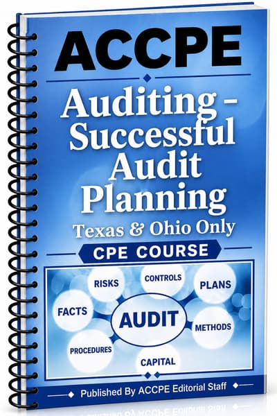 What does Auditing - Successful Audit Planning 2025 cover for accounting and auditing professionals?