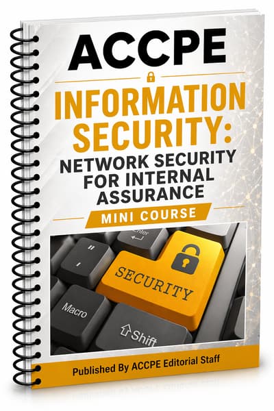 What does Information Security: Network Security for Internal Control Assurance 2025 cover for accounting and auditing professionals?