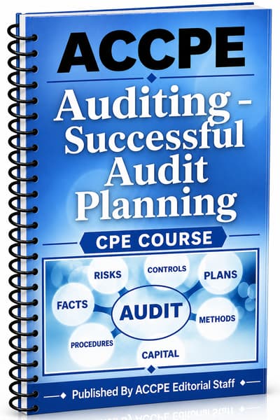 What does Auditing - Successful Audit Planning 2025 cover for accounting and auditing professionals?