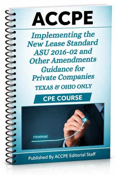 What does Implementing the New Lease Standard ASU 2016-02 and Other Amendments Guidance for Private Companies cover for accounting and auditing professionals?