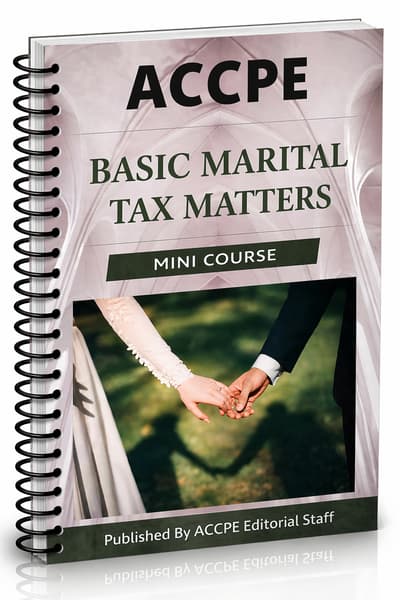What does Basic Marital Tax Matters 2025 cover for retirement and estate planning professionals?