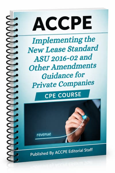 What does Implementing the New Lease Standard ASU 2016-02 and Other Amendments Guidance for Private Companies cover for accounting and auditing professionals?